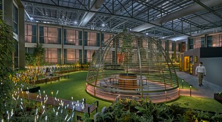Connect@Changi Sees Popularity Grow – Travel Bubble Facility Expanded