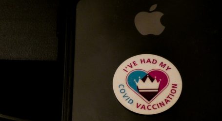 Japan in favour of vaccine passports to restart international travel – the country considers opening to international travel