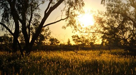Visitors will soon be able to experience Queensland’s Outback – Enjoy an action-packed day!
