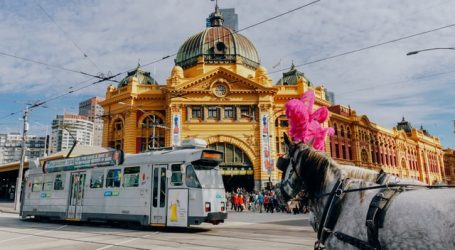 It’s going to be ‘wow’ in Melbourne in August – Let the joy begin!