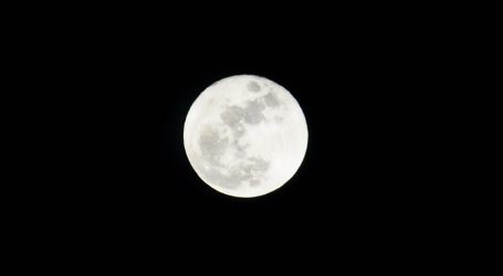 Nikini Full Moon Poya Day This Month – A Holy Day for Buddhists in Sri Lanka