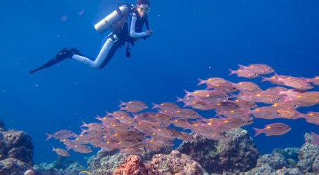 The Maldives is developing – The journey of the Maldives