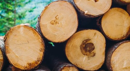 Sri Lanka Wood Expo 2021- The perfect platform for woodworking professionals