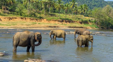 Sri Lanka Tourism Utilises Digital Technologies – Tourism Investments Also Surge