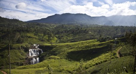 Informal Sector Membership Drive by Sri Lanka Tourism – Support from Australia’s MDF