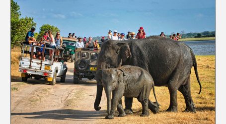 UNDP collaborates with Sri Lanka Tourism Development Authority to build back tourism – A sustainable Sri Lanka