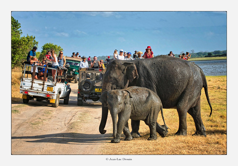 Sri Lanka Tourism