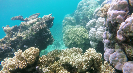 Tourism Tropical North QLD Receives Government Support – A Much Needed Boost