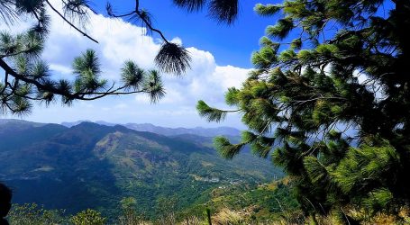 Mini World’s End in Nuwara Eliya Set to Reopen – Key Attraction to Become Accessible