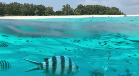 Tourism Begins to Recover in Africa – The Road to Recovery