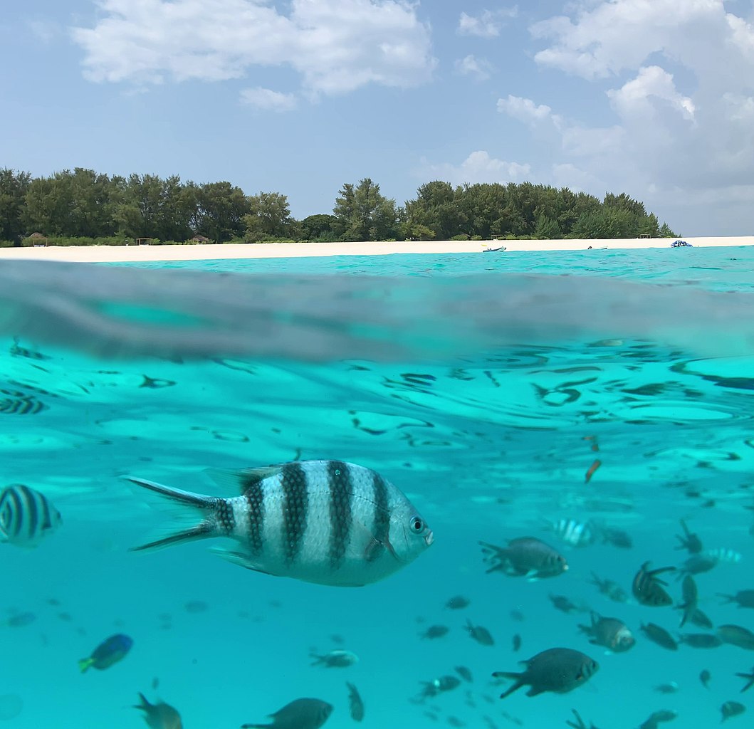 Zanzibar Island