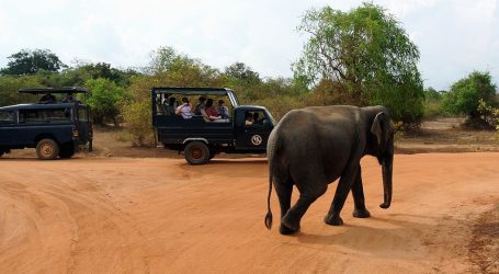 Sri Lanka’s Tourism Earnings Estimate Sees Upward Revision