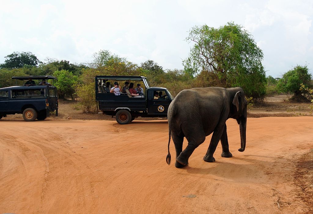 Tourism