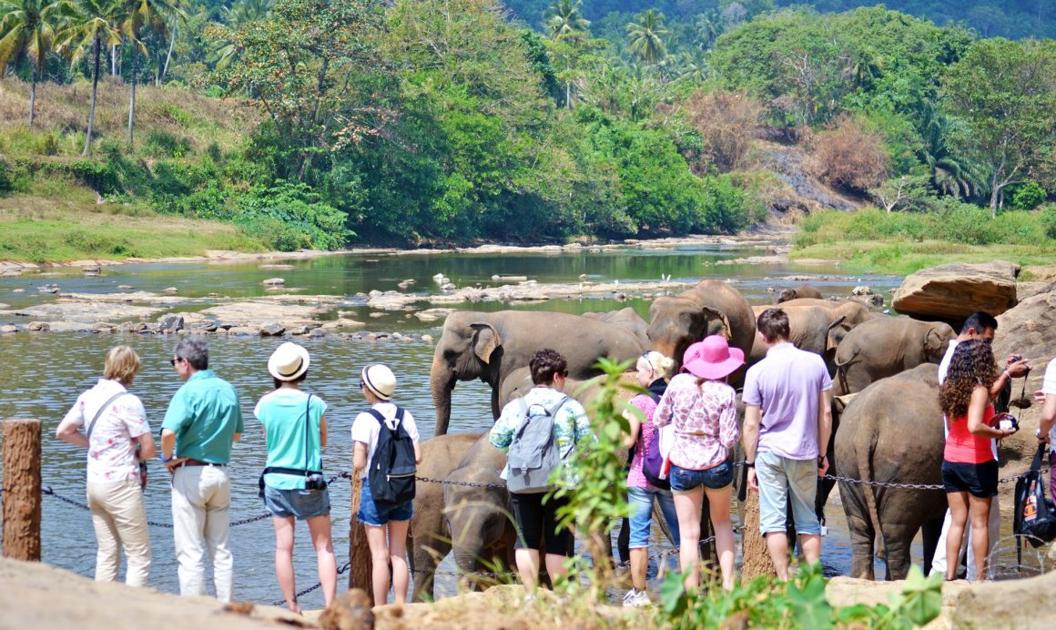 tourists in sri lanka