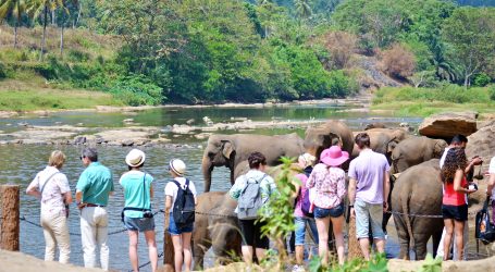 Upward Revision of Sri Lanka’s Tourism Earnings Estimate – A 142% Increase Seen