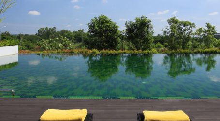 Travelling to Thailand in 2022 Made Easier – Enjoy the Best of the Country Once More
