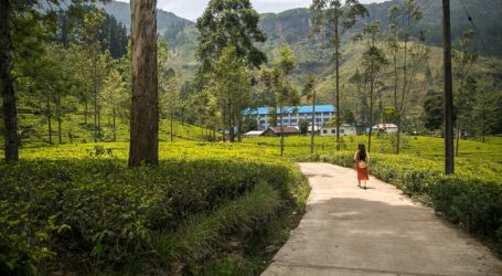 Nuwara Eliya as one of the Most Epic Places Located In Sri Lanka – A Magical Experience Awaits