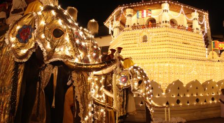 Esala Perahera held in July – An age-old religious parade