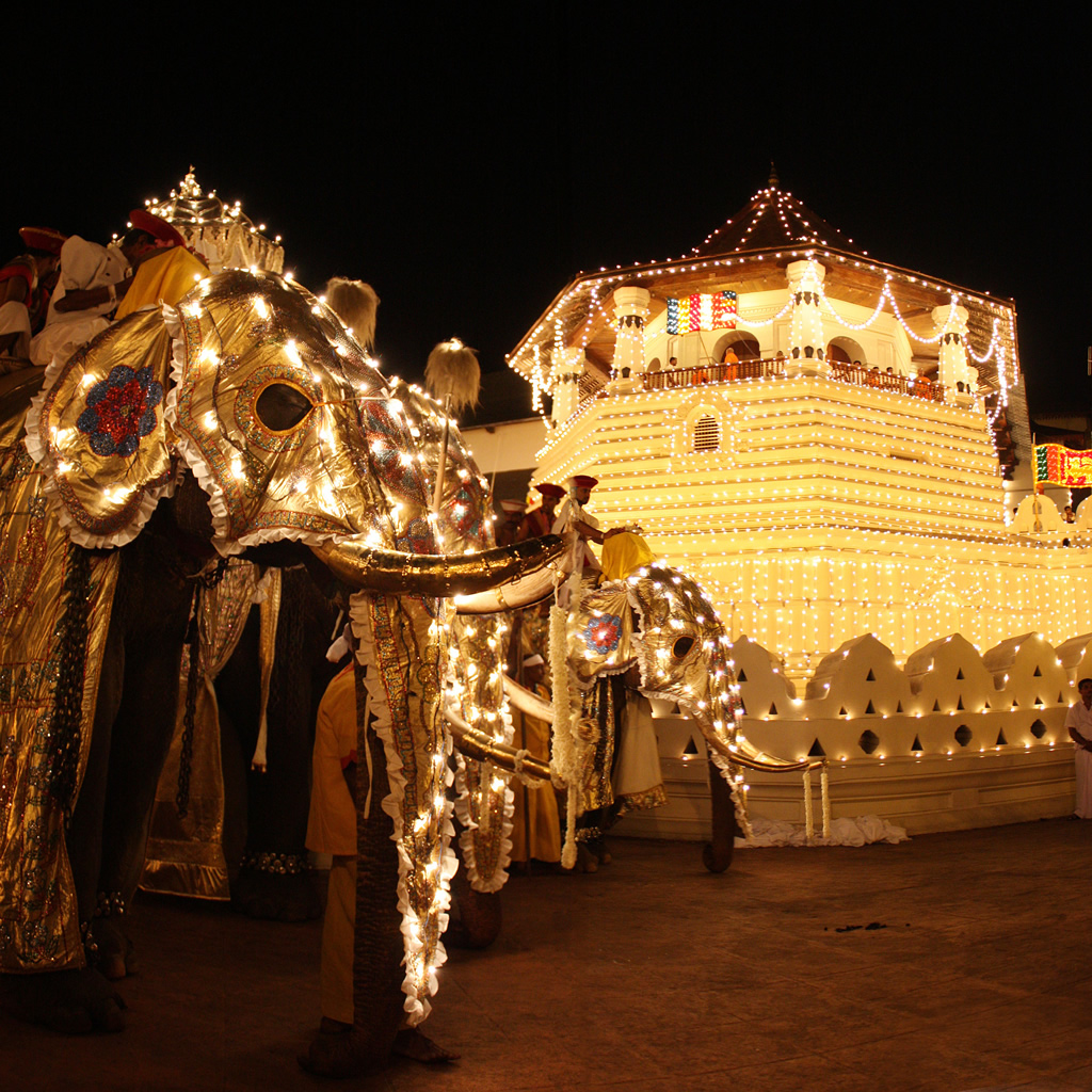 Perahera