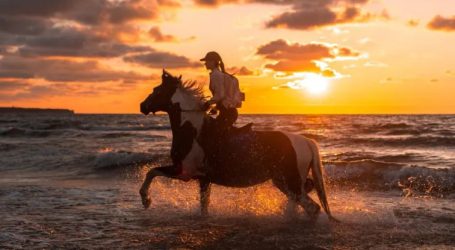 Dubai is on the lookout for new markets to surpass 2021 overseas visitor numbers – Increasing success in tourism