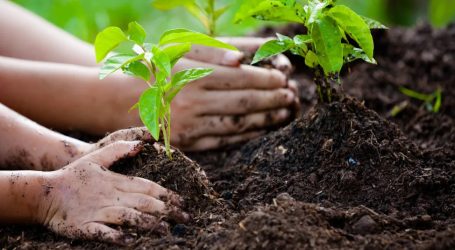 Anantara Signs UNESCO Sustainable Travel Pledge – Sustainable Tourism to the Fore