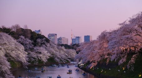 Japan waives COVID entry tests in a step toward welcoming tourists – the country gradually opens