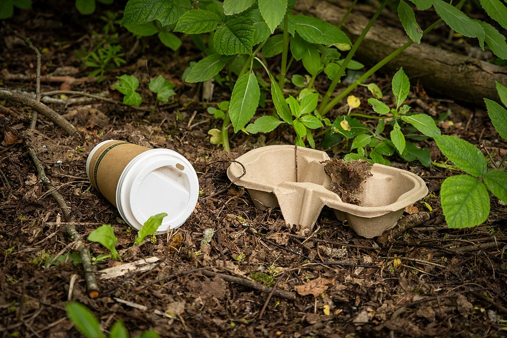 Food Packaging