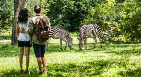 Relaxed Entry Requirements to Zambia