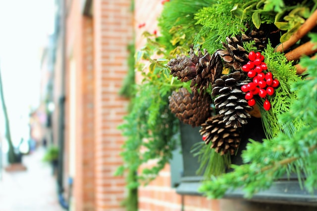 Christmas