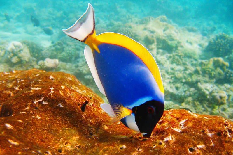 underwater