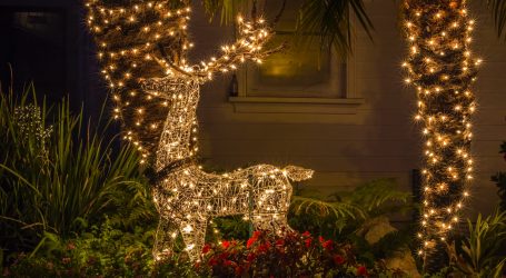 A Very Sri Lankan Christmas – Getting Ready for the Season