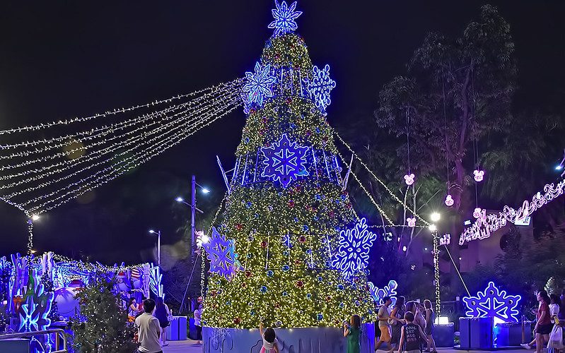 Christmas Tree Maldives