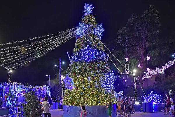 Christmas Tree Maldives