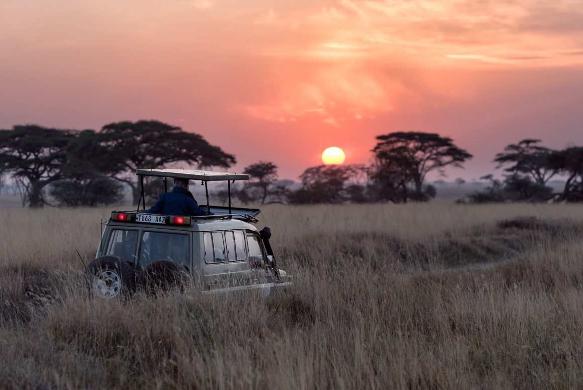 Tanzania Travel