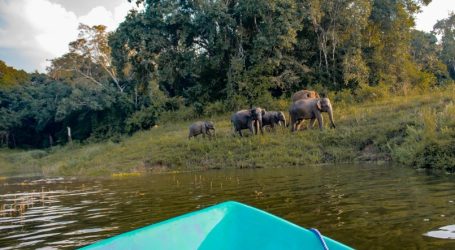Sri Lanka’s Tourism Industry Getting Back on Track – A Positive Start to 2023 As Well