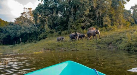 Wild Glamping Gal Oya Wins Key Green Award – Property Given Highest Eco-Friendly Rating