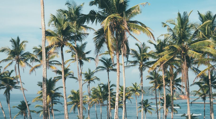 Mirissa