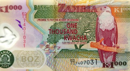 Zambia Holds the Title of the Best Performing Currency Against the US Dollar
