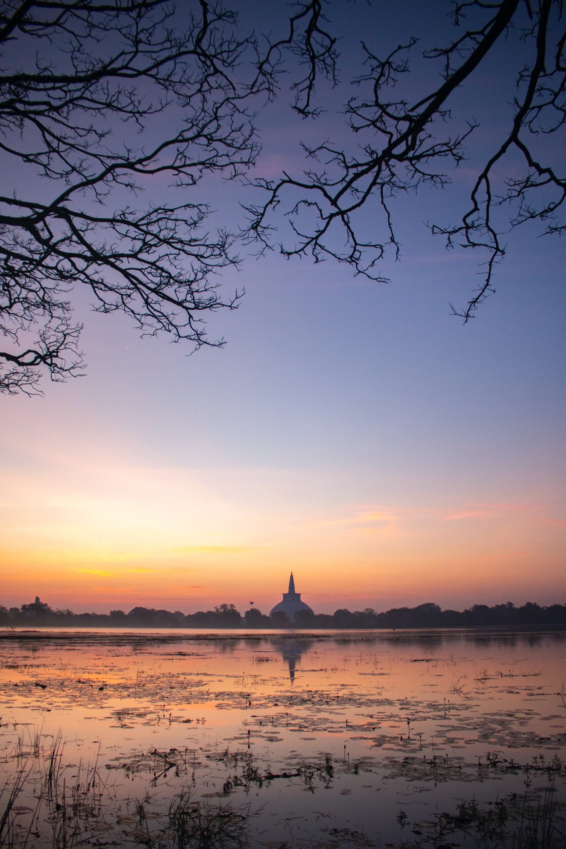 Sri Lanka Tourism