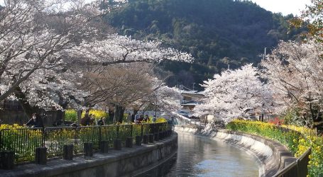Biwa Canal Cruise in Spring Now on Offer