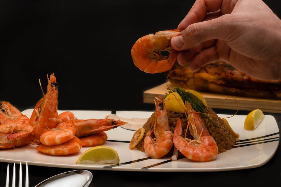Culinary Art Food Expo