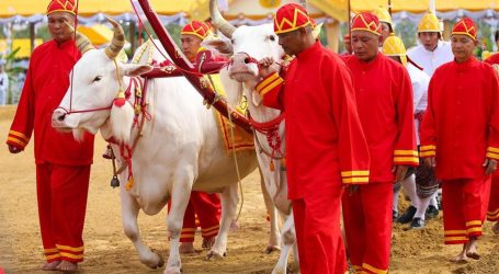 Royal Ploughing Ceremony : Highly Ceremonial Agricultural Event in Bangkok