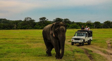Forbes Names Sri Lanka One of the 23 Best Places to Travel Around the World in 2023