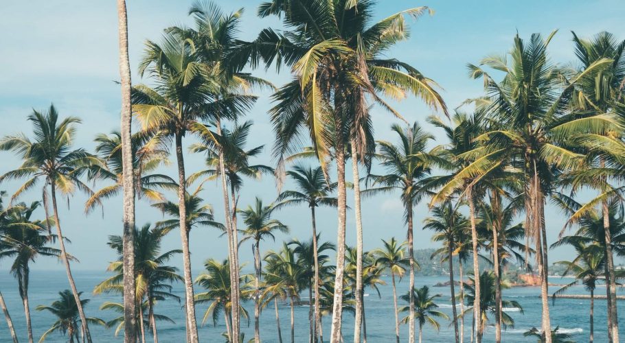 Mirissa, Sri Lanka