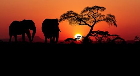 Africa Tourism Leadership Forum and Awards 2023 – Bringing together African Tourism