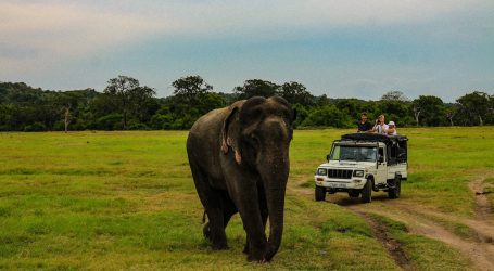 Sri Lanka Looks to Attract More Dutch Tourists – International Arrivals Also on the Rise