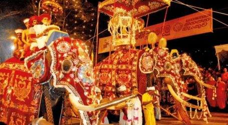 Esala Full Moon Poya in Sri Lanka in 2023 – the Kandy Perahera