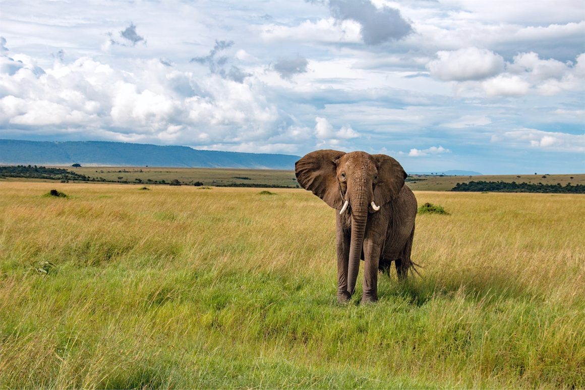 Kenya