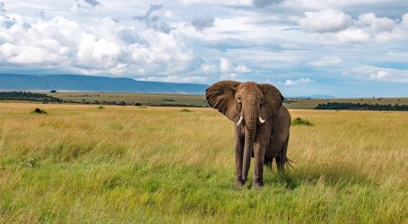 Kenya Sees Significant Earnings in 2022 – Country Sees Increased Arrivals in 2023