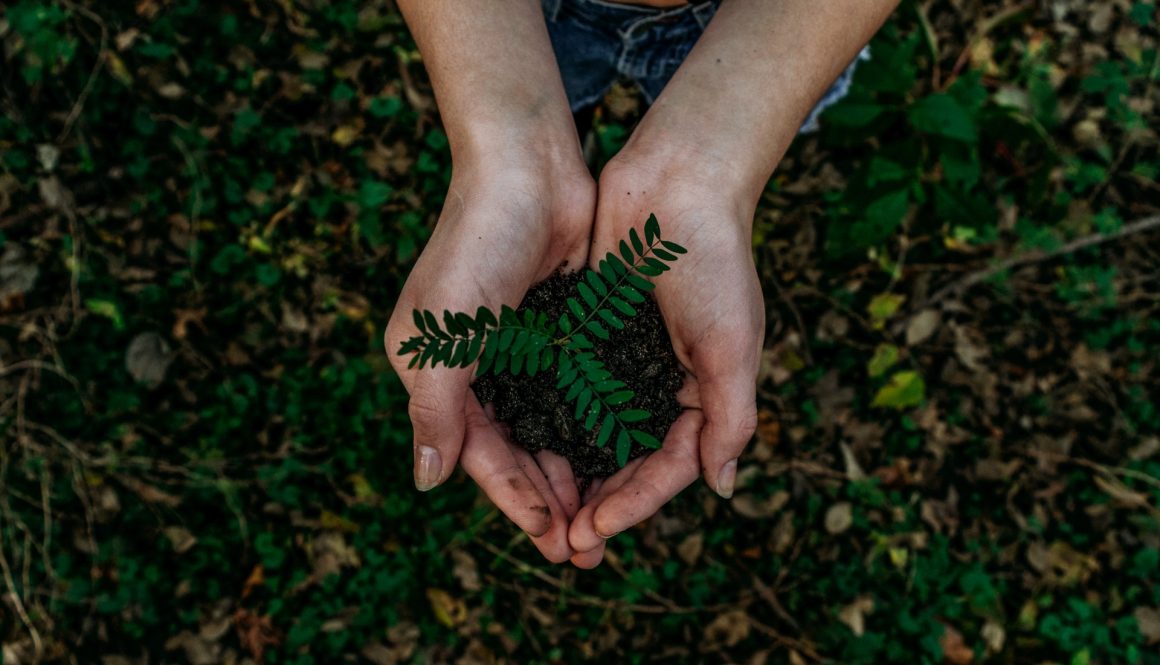 Eco-friendly tourism